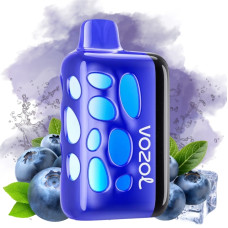 Vozol Rave 40000 Чорниця Лід 5%