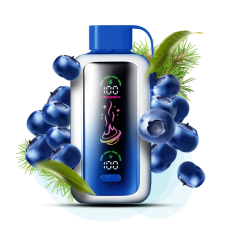 Vozol Star 20000 Чорниця 5%